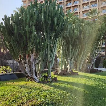 Ocean Dream Escape Appartement